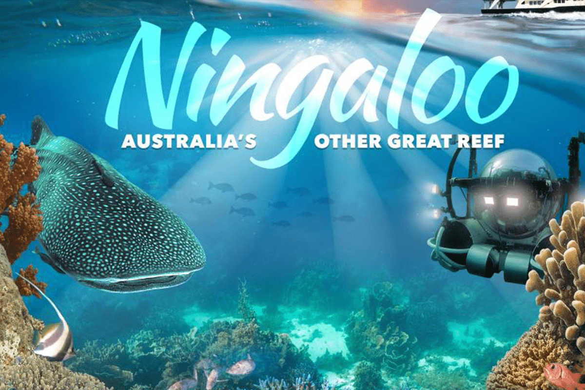 Fish and coral life in the bottom of the ocean.  The image has the text "Ningaloo Australia's Other Great Reef"